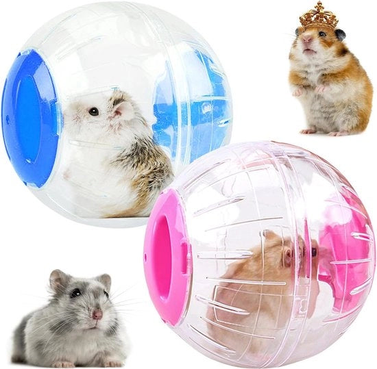 Bal di allenamento per hamster trasparente