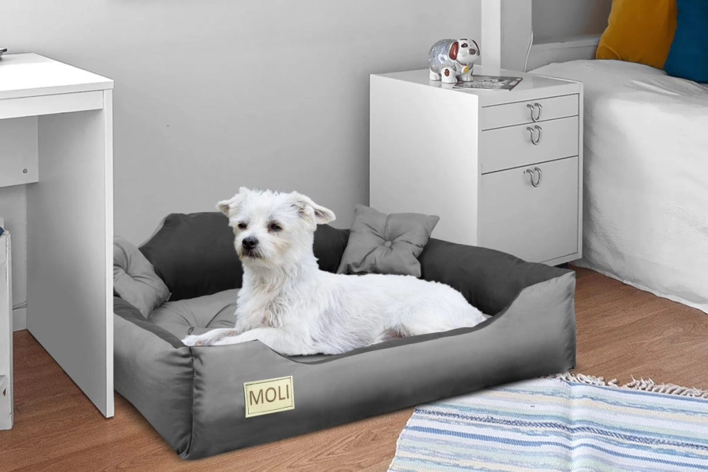 AIO FACTORY Cuccia per cani 55x45 cm personalizzata in microfibra impermeabile grigia