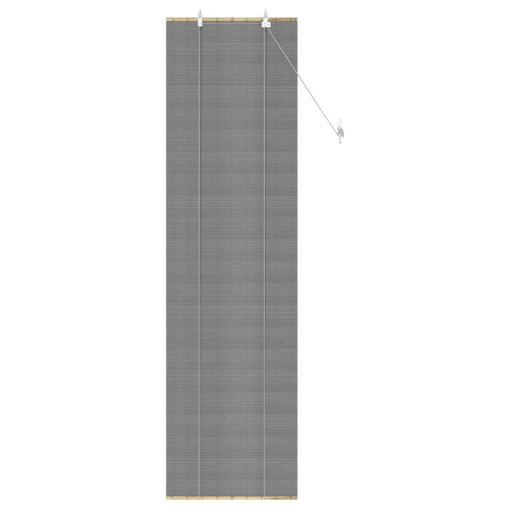 Tenda a rullo Grigio 40 x 220 cm Bambù 42039713