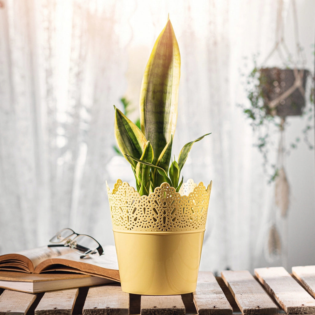 Vaso da fiori KADAX, Vaso da fiori, Vaso da fiori alto, Supporto per fiori, Ciotola lucida, 14,5 cm, Giallo