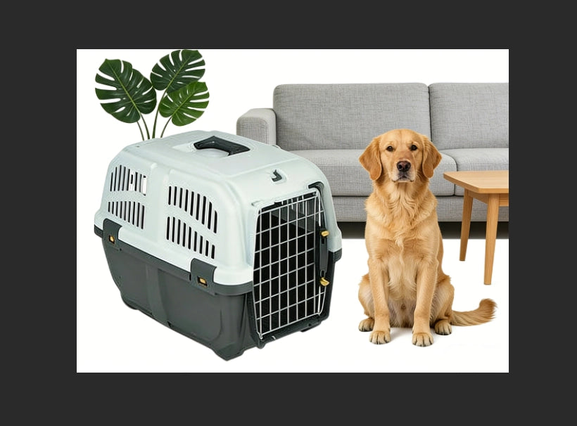 Gabbia da viaggio per cani e gatti ¨C Minimal ¨C Grigio