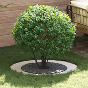 adatto per Anello d'Albero Piatto Bianco Ø60 / 90 cm Acciaio 873706