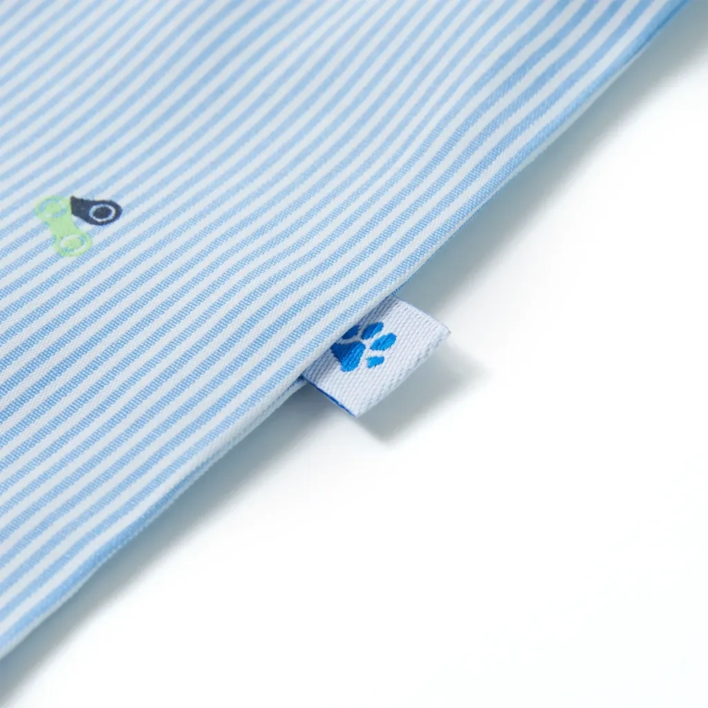 Camicia da Bambino Azzurra 104 12185