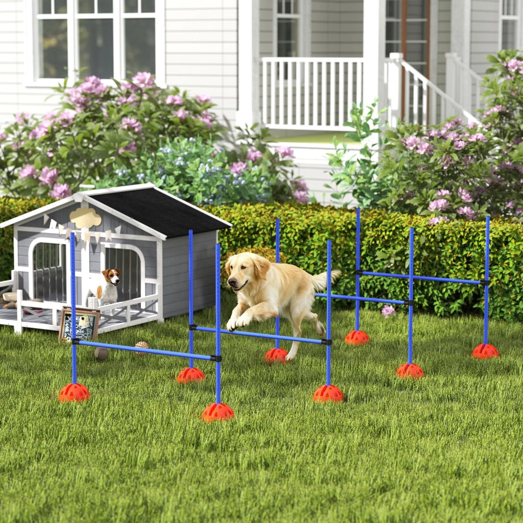 Set Agility per Cani con 4 Ostacoli e Borsa ¨C Zephmum ¨C Blu