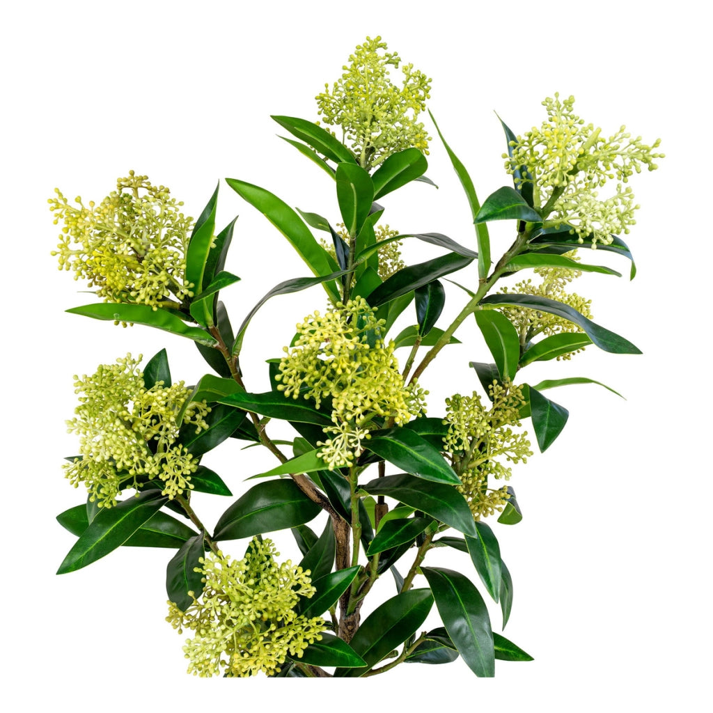 Pianta Artificiale Skimmia, Verde, Polietilene, 40x40x75 cm