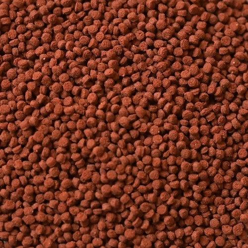 DuplaRin Colour L 80gr - mangime in granuli per pesci di grossa taglia d' acqua dolce e marina