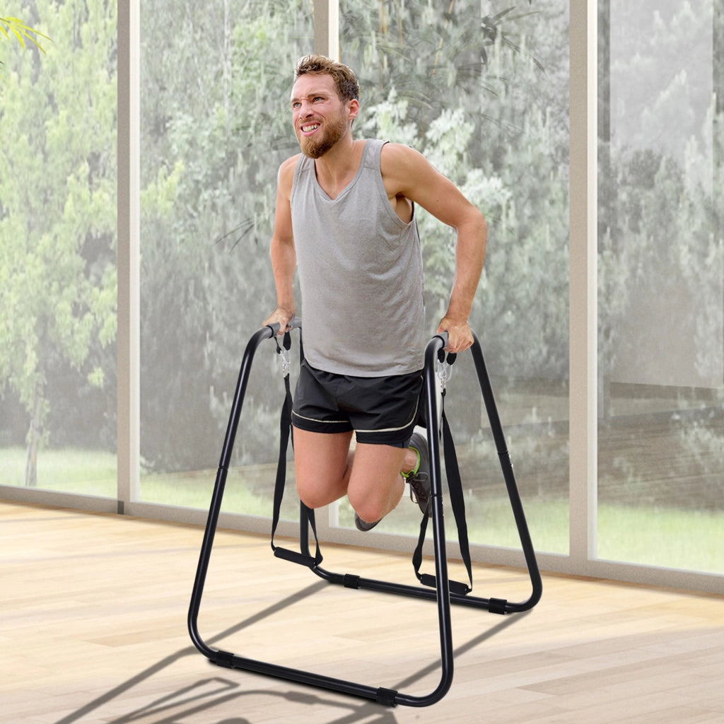 Dip Barren Dipstation ¨C Minimal ¨C 120 kg