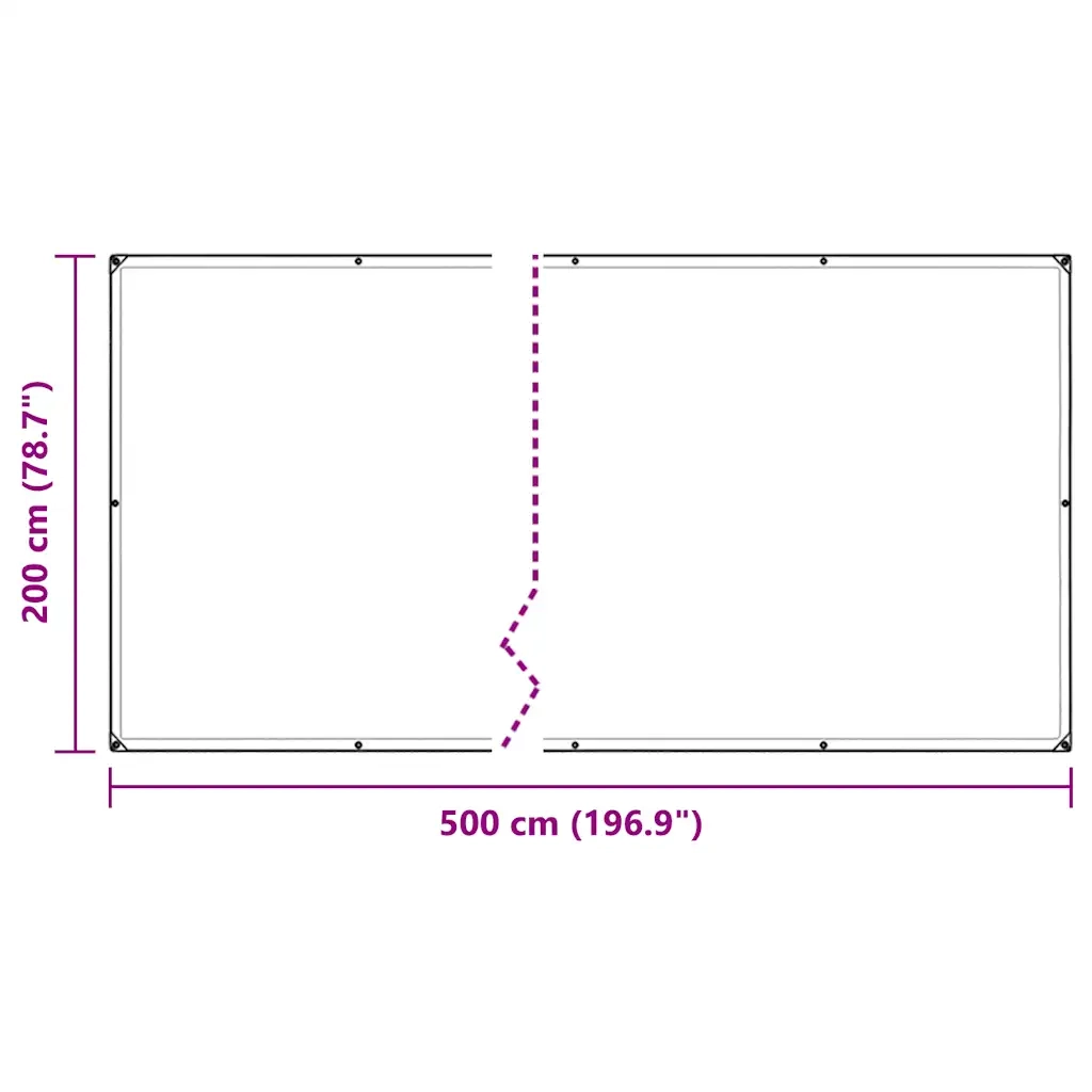 Telone Trasparente con Occhielli 2x5 m in PVC 4018594