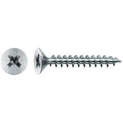 VITE TRUCIOLARE TSP 2,5X 10MM CHROMITING PANELVIT- 5,0 centinaia