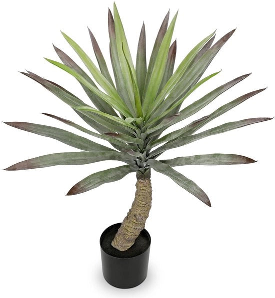Pianta ornamentale Yucca Bonsai 70cm in vaso grande per interni ed esterni, decorazione moderna per bagno, soggiorno, camera da letto e balcone