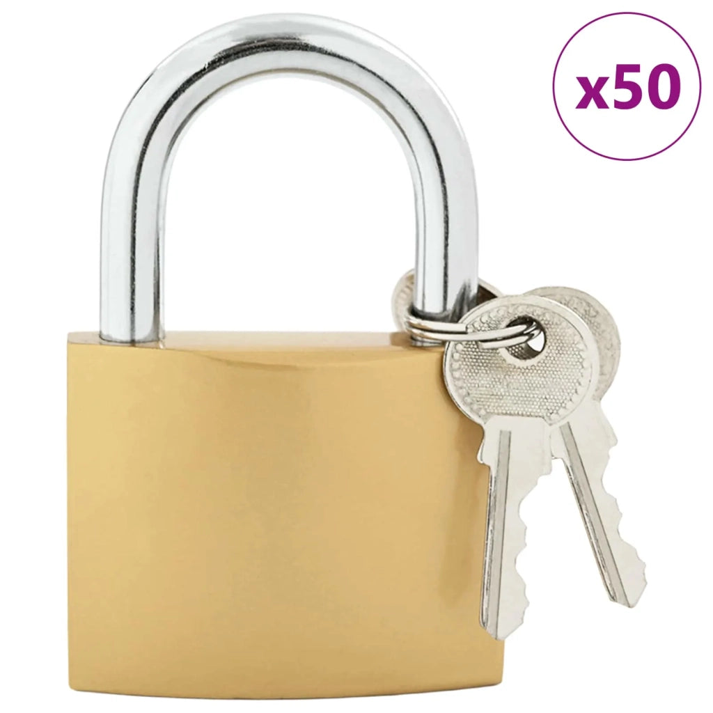 U Lock con Chiavi 50 pz Ottone Ferro CFW4302456