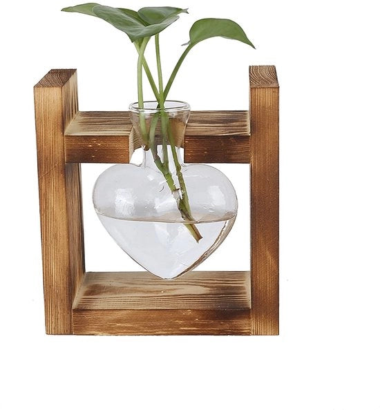 Terrario a forma di fiore - Vaso di vetro borosilicato - Stendardo in legno - Piante in coltura idrica - Decorazione per ufficio - 1/2/3 flaconi di vetro