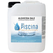 Antialghe piscina ALGHICIDA SALE - Concentrato non schiumogeno Quantità confezione: 1 pezzo