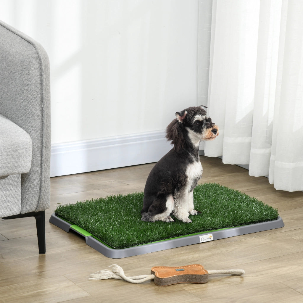 Toilette per Cani con Erba Artificiale ¨C Xylo ¨C Verde 67x41x3,5 cm