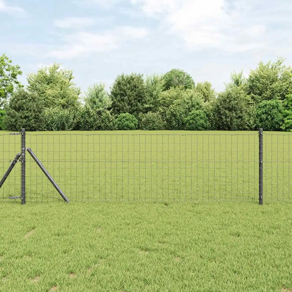 Recinzione da Giardino | Recinzione Euro Grigio 0,4 x 10 m Ferro rivestito in PVC