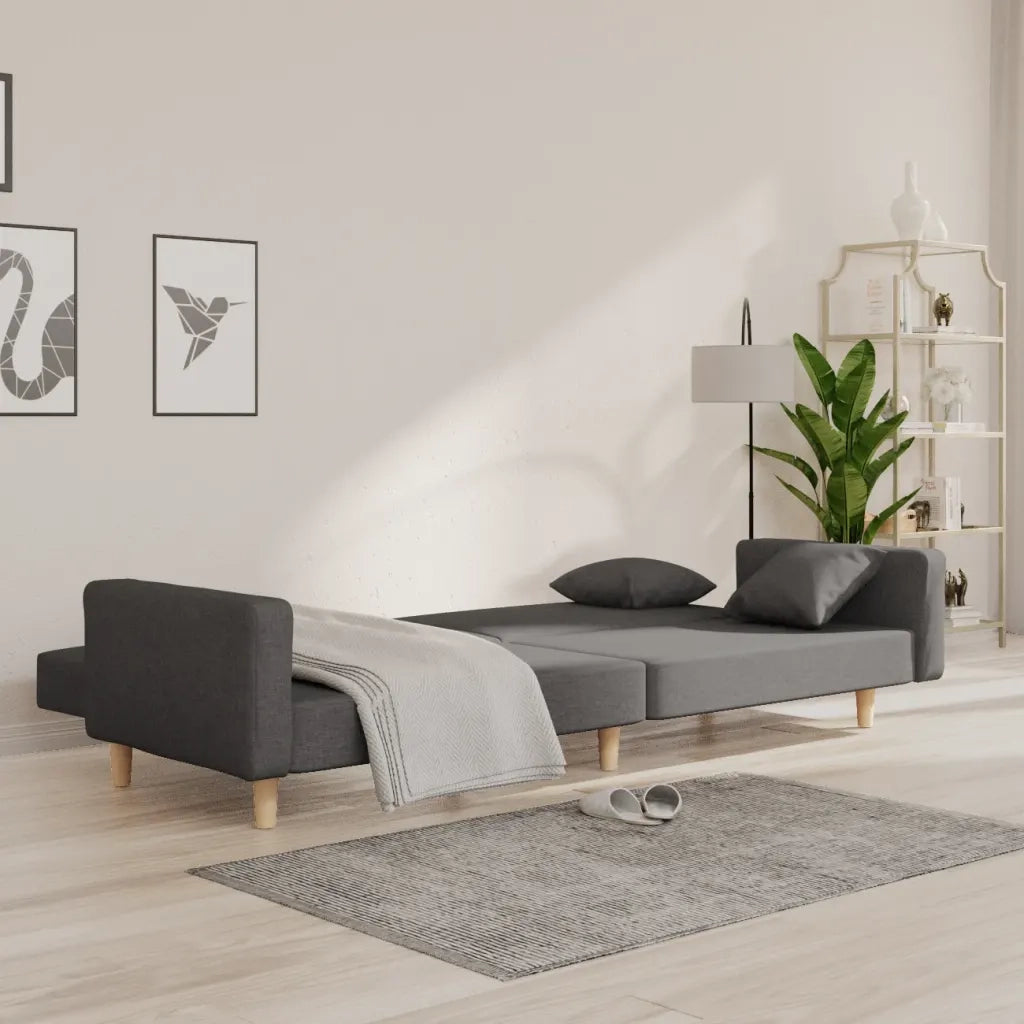Divano letto | Sof¨¤ letto | Letto singolo a 2 Posti con 2 Cuscini Grigio Scuro in Tessuto