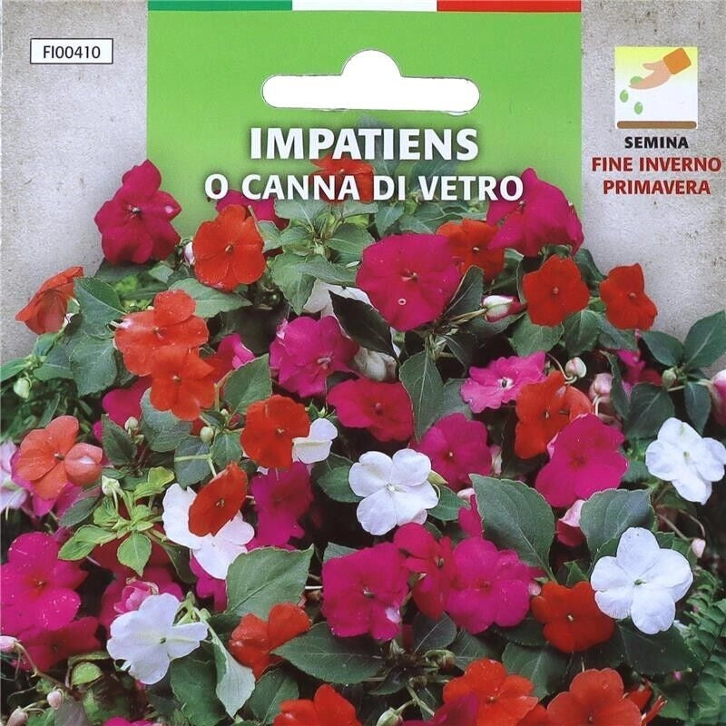 BUSTA SEMENTI IMPATIENS O CANNA DI VETRO