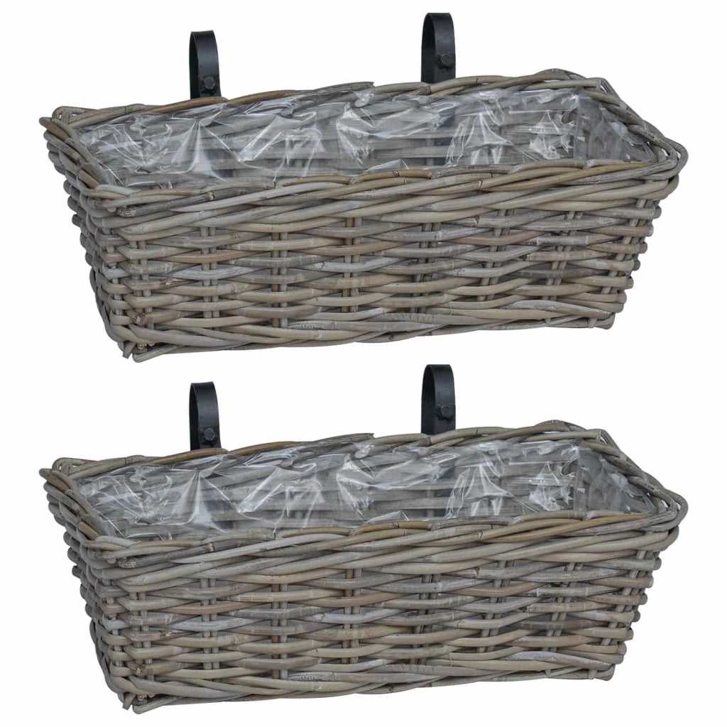 Cestino Appendibile per Piante 2 pcs Grigio 48 x 22 x 15 cm 42020967