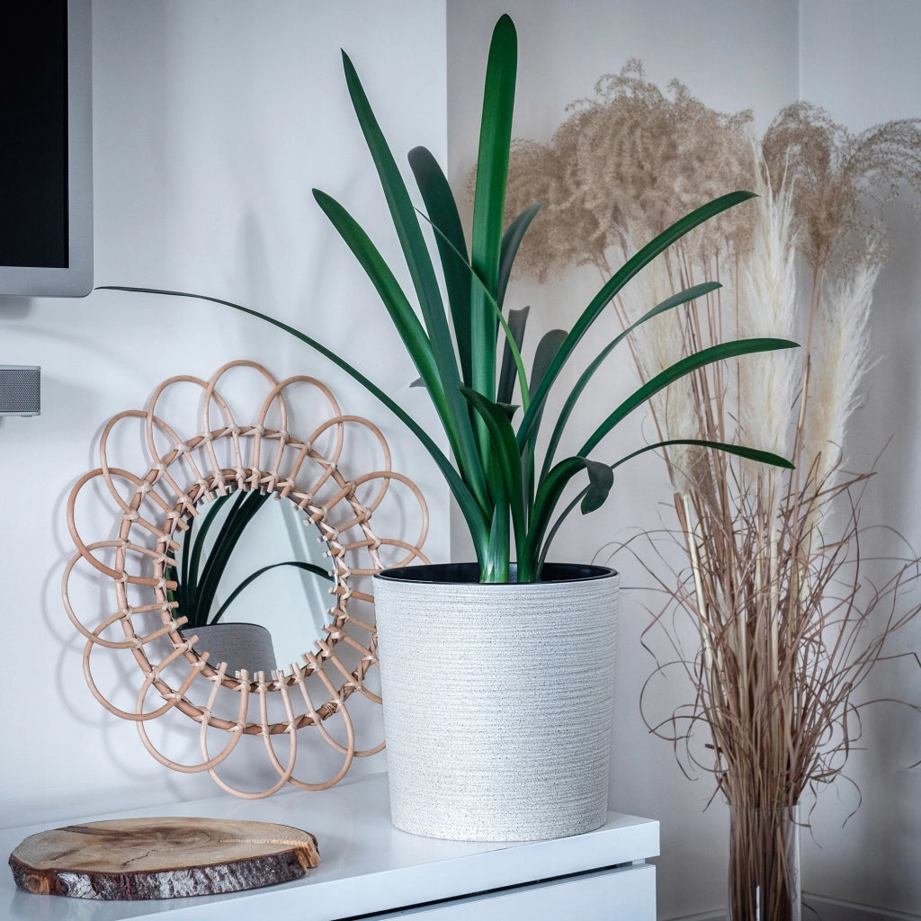 Vaso da fiori KADAX, supporto per fiori, 19 cm, per soggiorno, beige + inserto