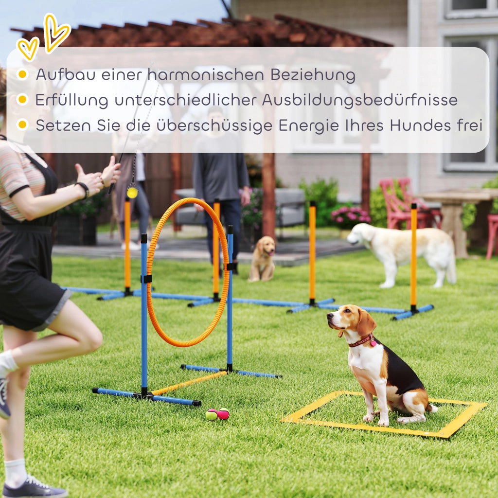 Set Agility per Cani 7 Pezzi ¨C Minimal ¨C Grigio