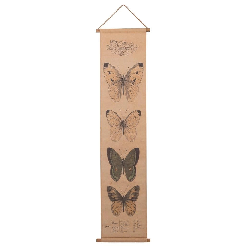 Lienzo pergamino de lino impreso 38x157x2,5h