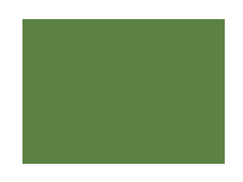 Vernice acril-uretanica all'acqua gradazioni verde 750ml 2.5lt lucida satinata - 2,5 lt - satinato - RAL 6017 Verde maggio