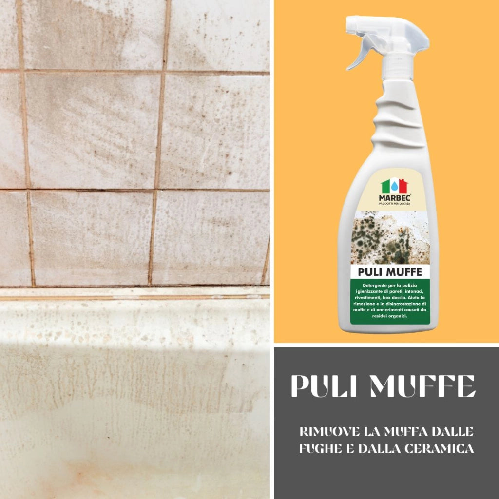 Detergente per rimuovere muffa PULI MUFFE   750MLx6Pz