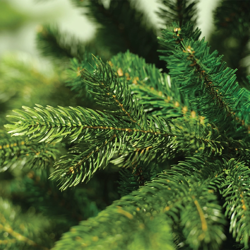 Albero di Natale Galloway spruce 120 x H 180 cm