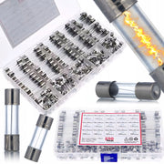 Set di Fusibili in Vetro WTA FuseBox Pro 250 – 250 Pezzi | 250V | 1A-20A | 5x20 mm + 6x30 mm | Rapida Reazione