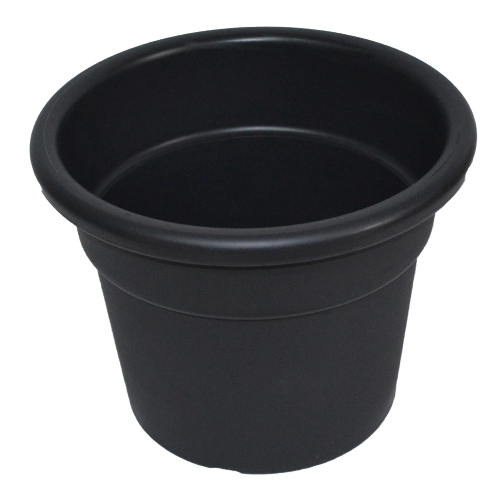VASO NORMALC.COL. ANTRAC. CM.25