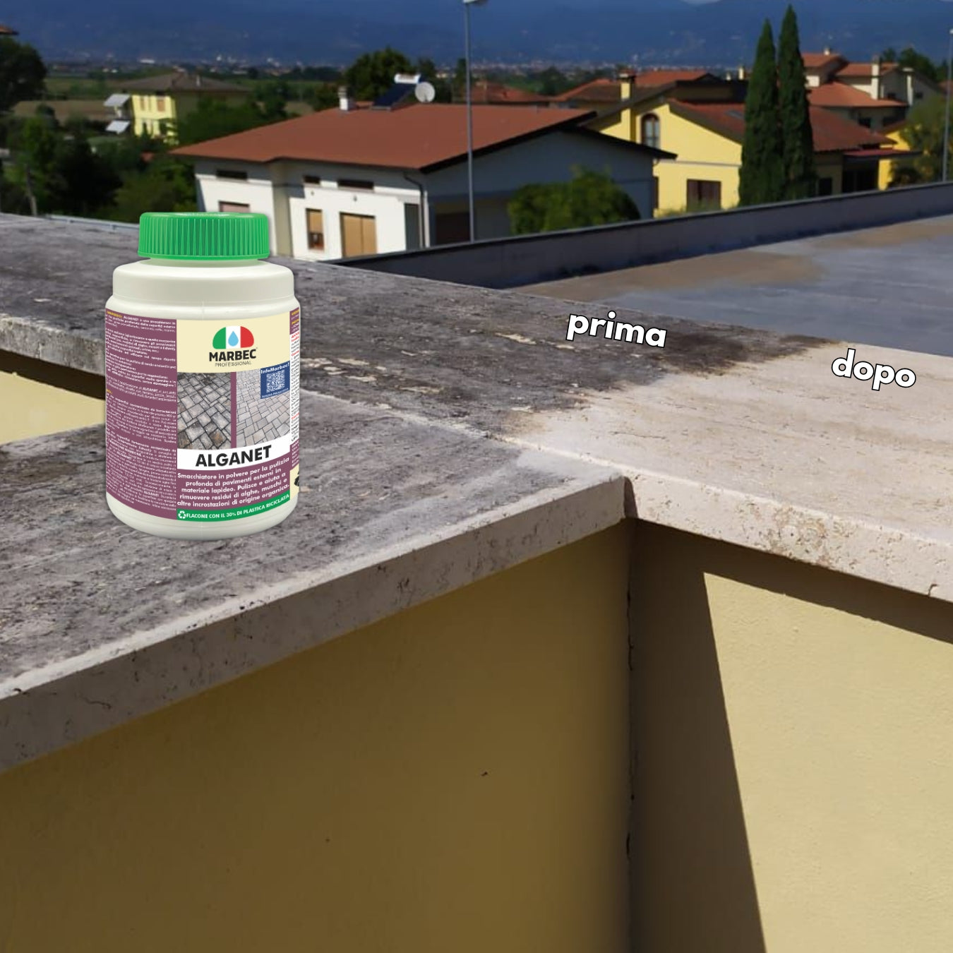 Pulizia pavimenti esterni ALGANET   800GR