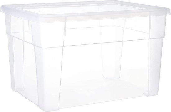 Scopa multifunzionale trasparente, X-Large/39 x 29 x 24 cm