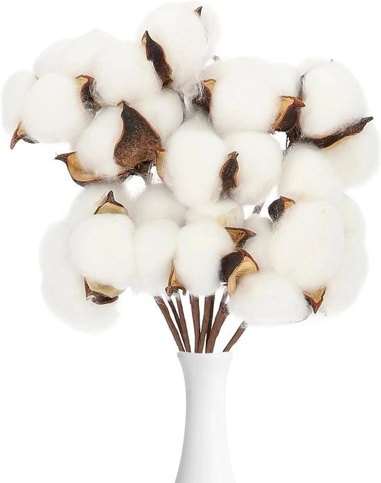Decorazioni per alberi con arte della pianta di cotone - 10 pezzi bianchi - decorazioni per vaso e Pasqua