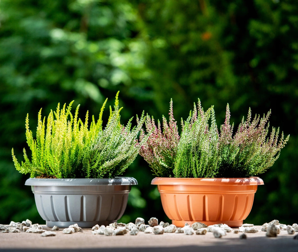 Vaso da fiori KADAX, copertura per vaso da fiori per cimitero, crisantemi, fiori per tomba, 20 cm