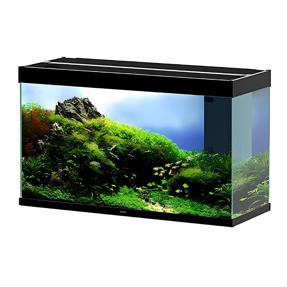 Ciano Emotions Nature Pro 100 LED Senza Supporto Colore: Nero