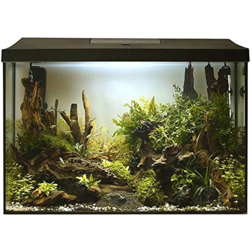 Aquael Aquarium Set Leddy 60XL Day&Night Nero - acquario cm60X30X40h completamente accessoriato