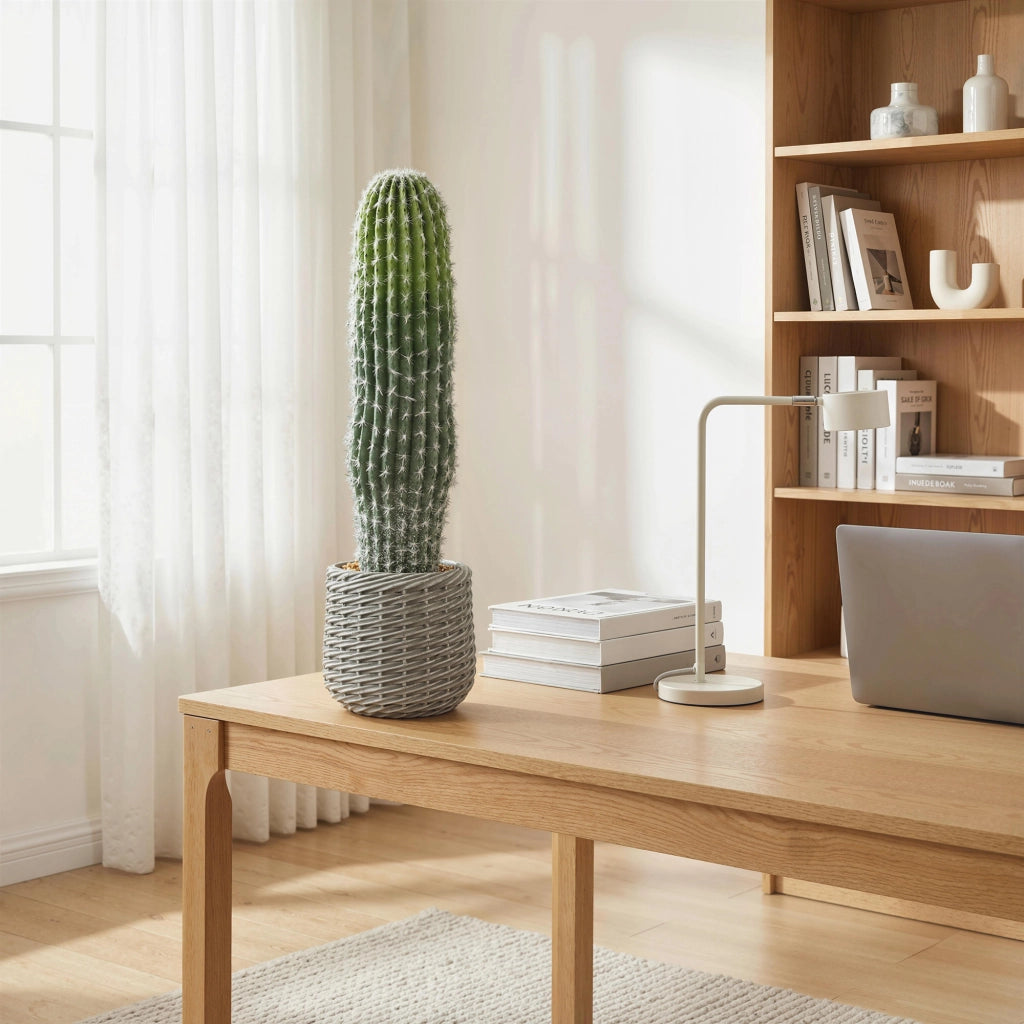 Cactus Artificiale Decorativo 66cm ¨C Xylo ¨C Verde con Vaso