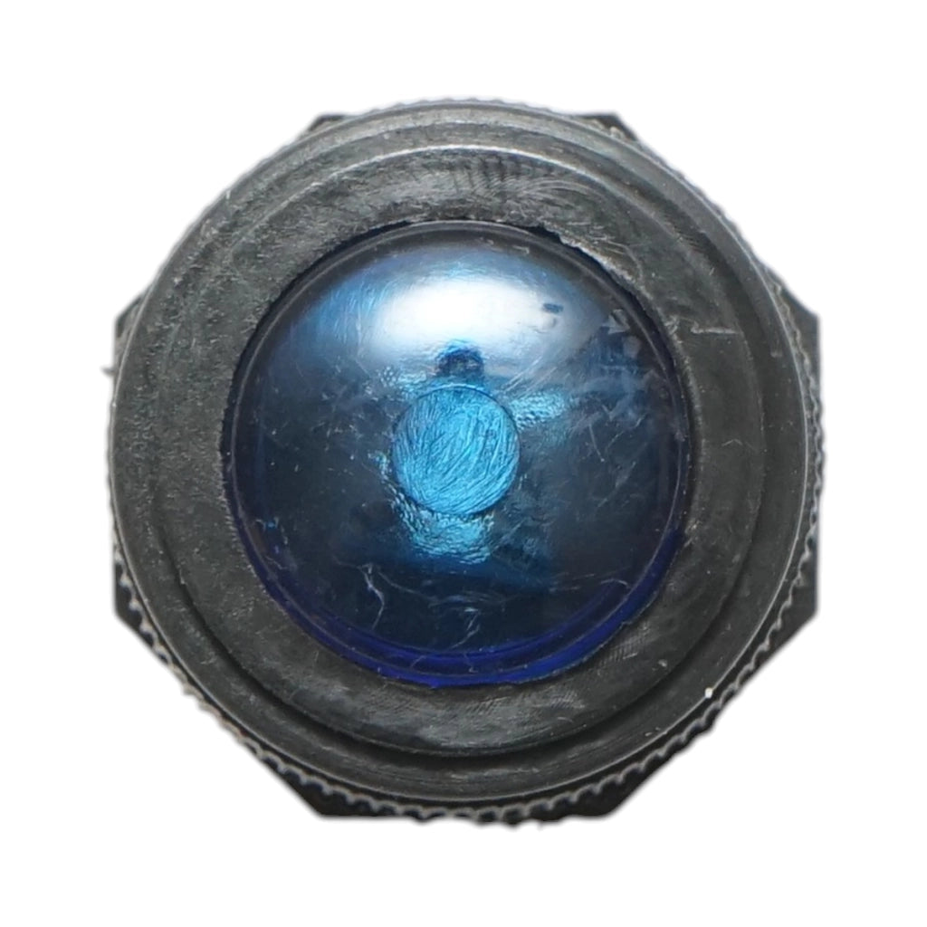 Spia luminosa blu 12V/10A–24V/5A 2 pin universale