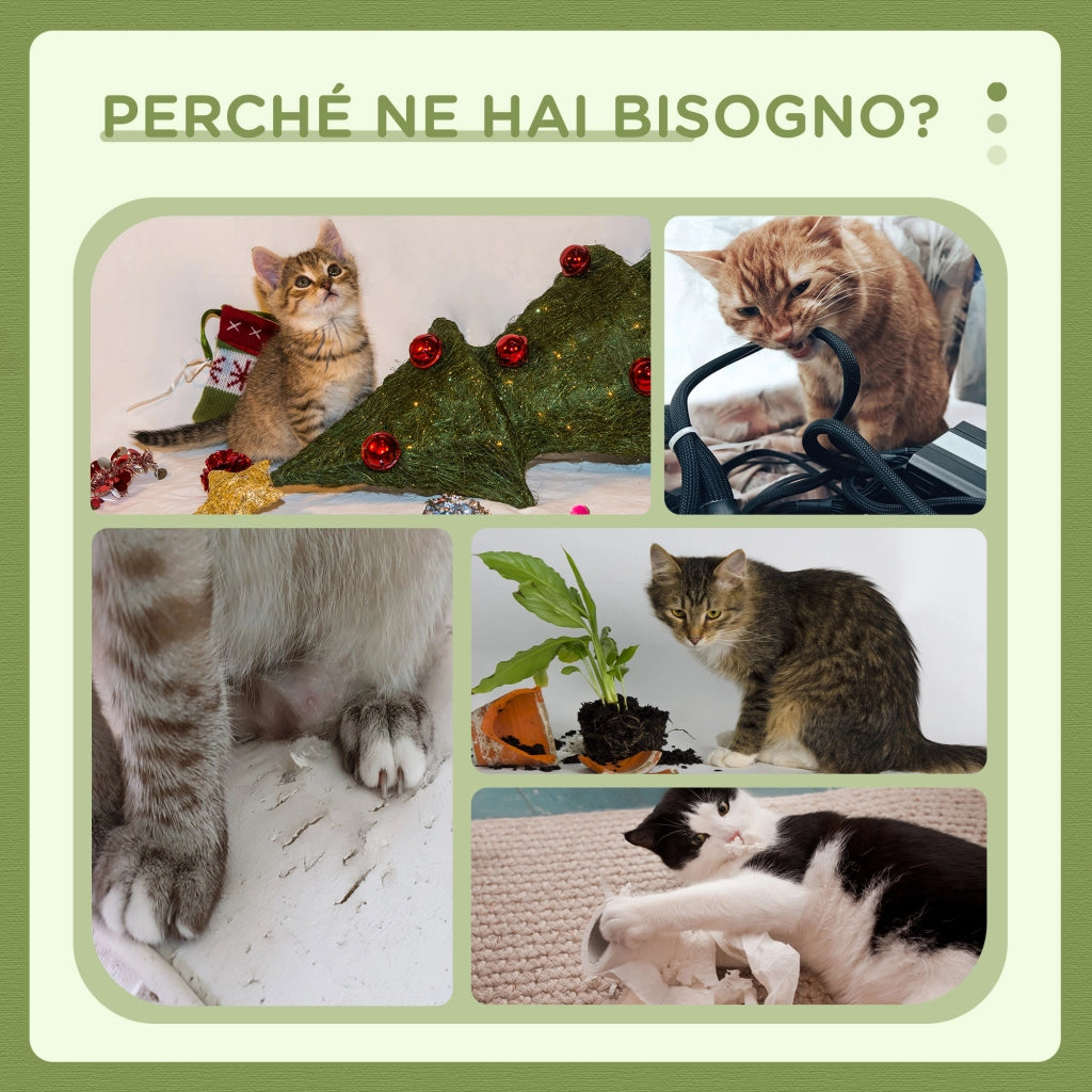 Tiragraffi per Gatti con Lettino e Piattaforma ¨C Xylo ¨C Verde e Bianco