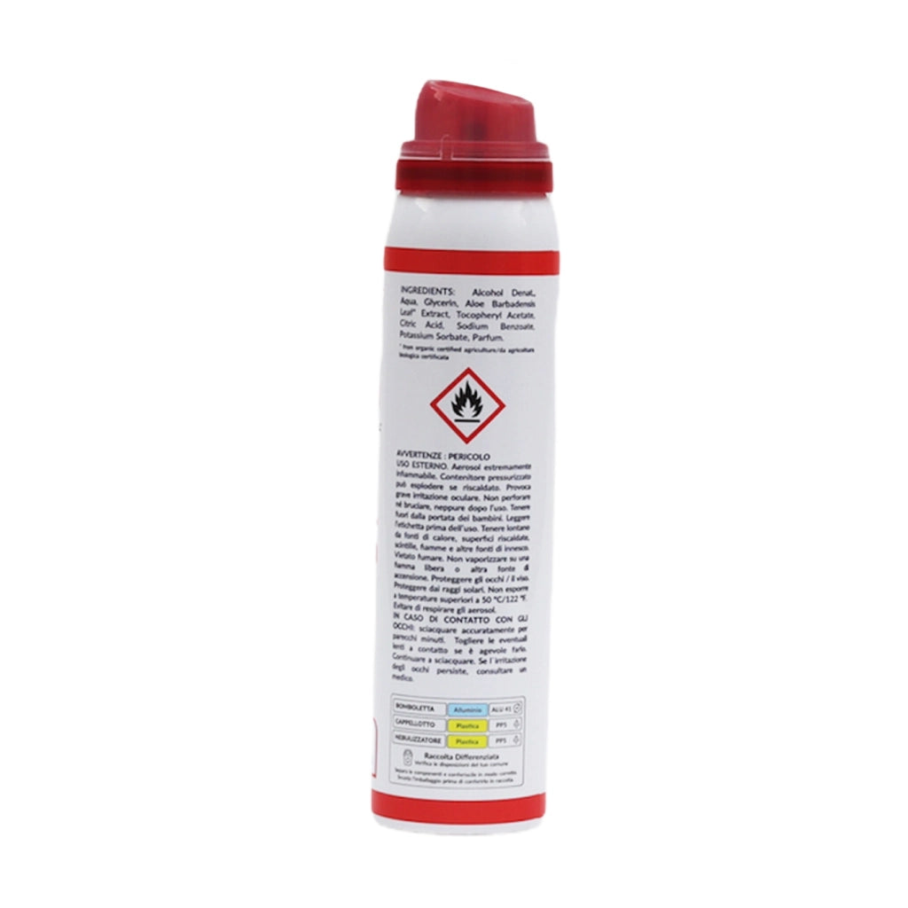 SANITINA SPRAY MANI 100ML CON ALCOOL 75%
