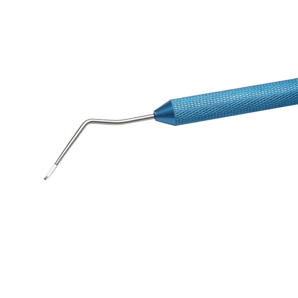 Ansa per transvasare larve in acciaio inox 170mm