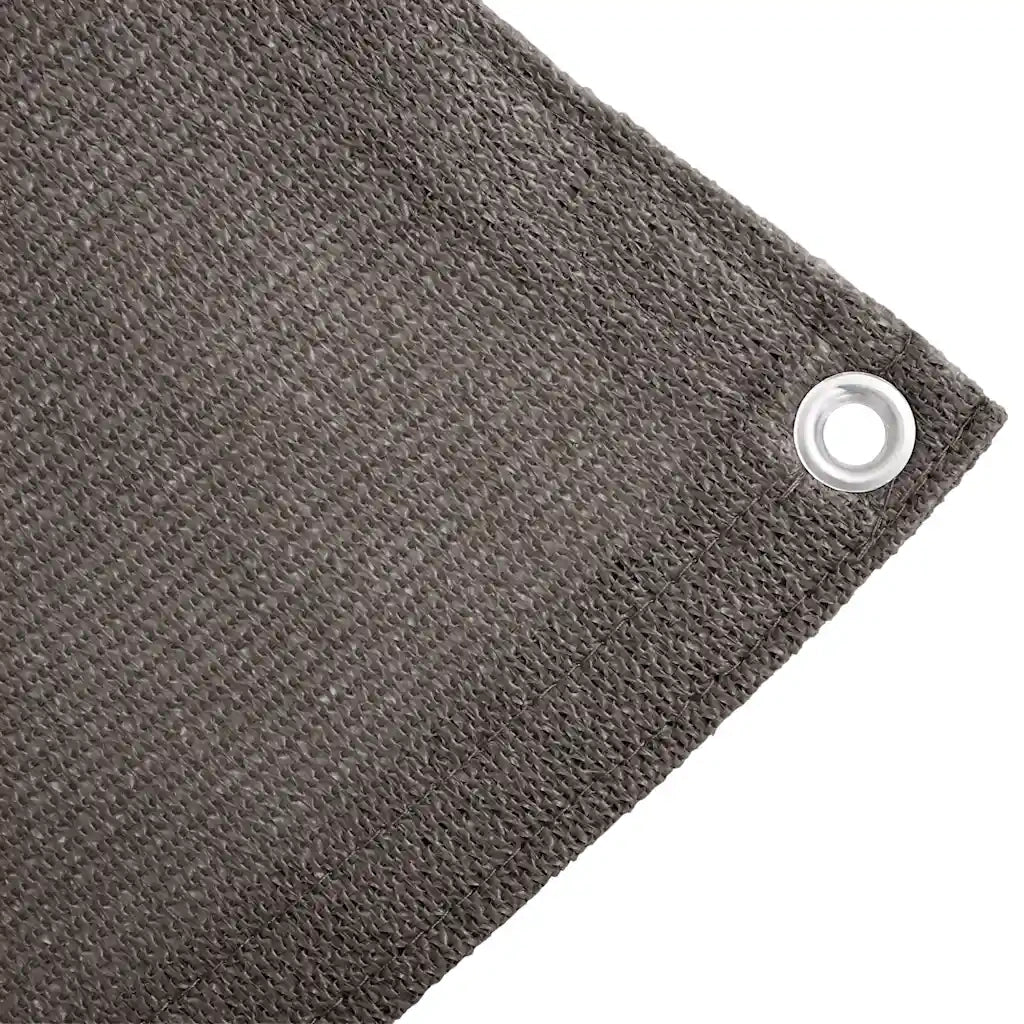 Tappeto da Tenda 300x500 cm Antracite 91265