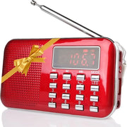 Radio Trasistore Portatile a Batterie