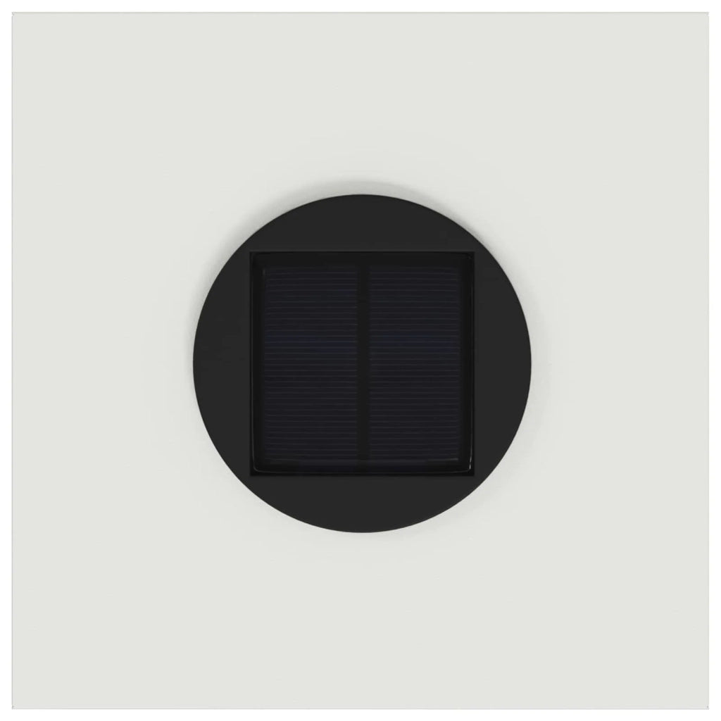 Lucina LED Solare da Percorso 2 pcs Bianco 879717