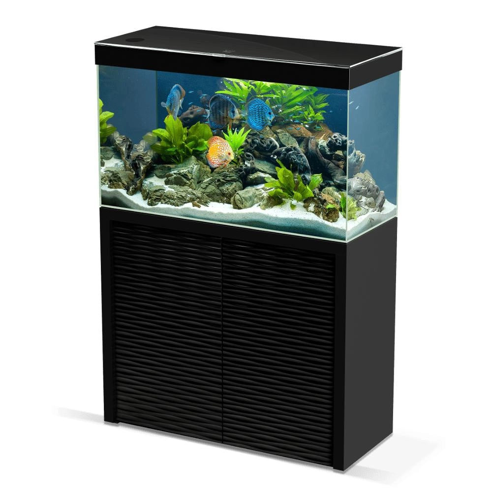 Ciano Emotion One 100 LED Completo di Supporto disponibile in due colori Colore: Nero