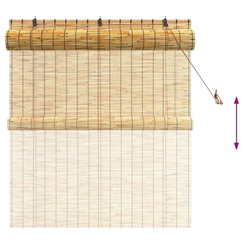 Tenda a rullo Naturale 140 x 160 cm Giunco 42034647