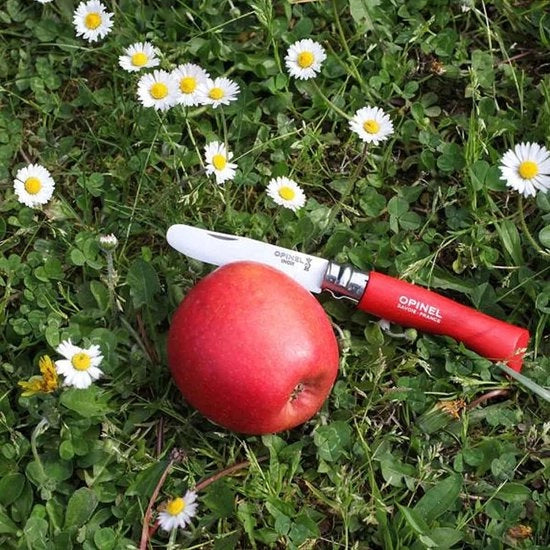 Puntino rossastro per bambini nr. 07 - taglio sicuro in cucina