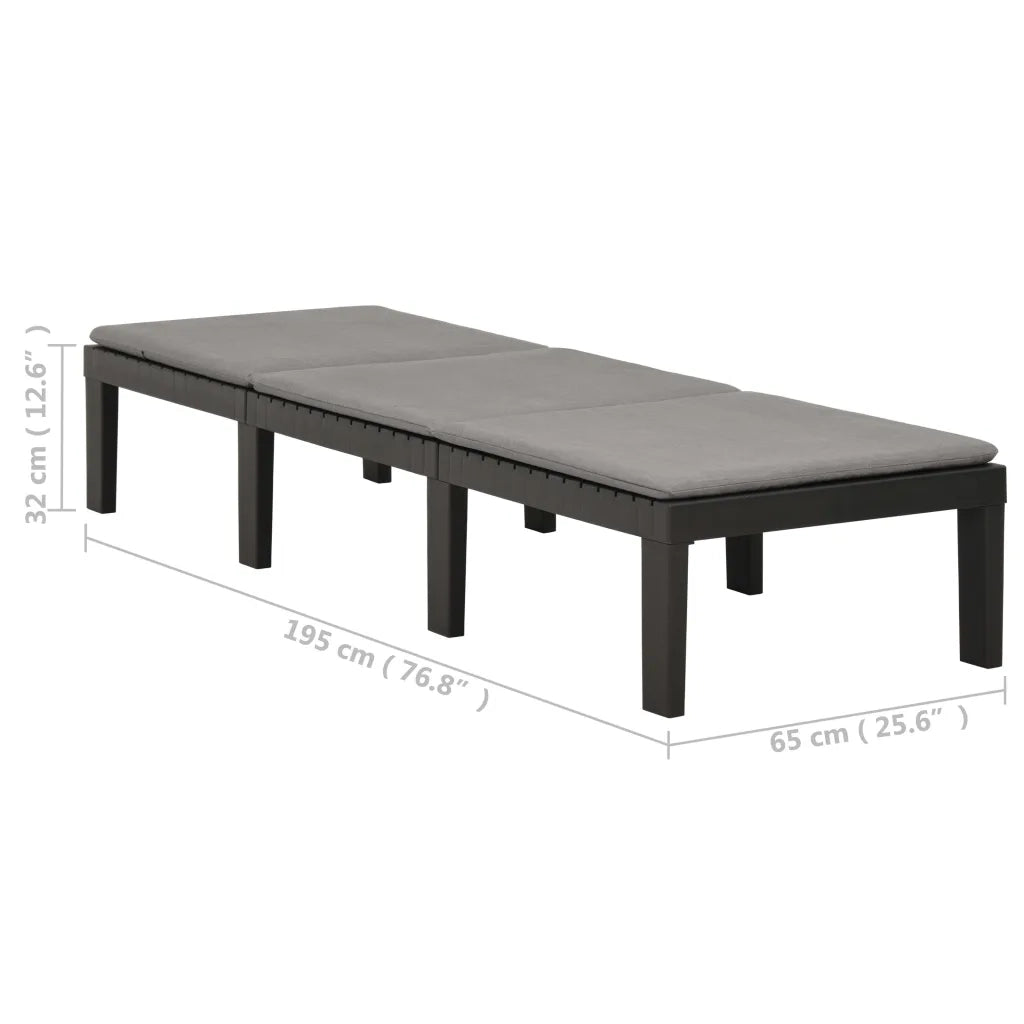 Lettino Prendisole | Sdraio da giardino | Lettino da sole con Cuscino in Plastica Antracite