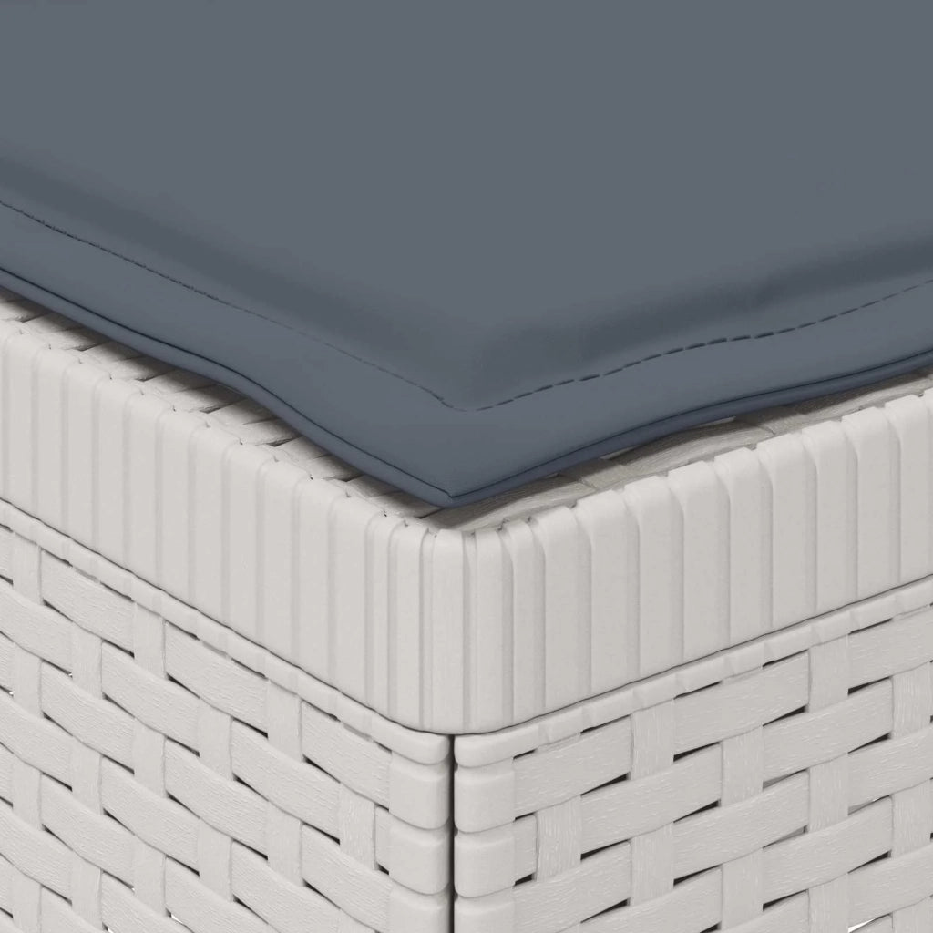 Divano da Giardino a 2 Posti con Cuscini Aspetto Rattan PP 8011935