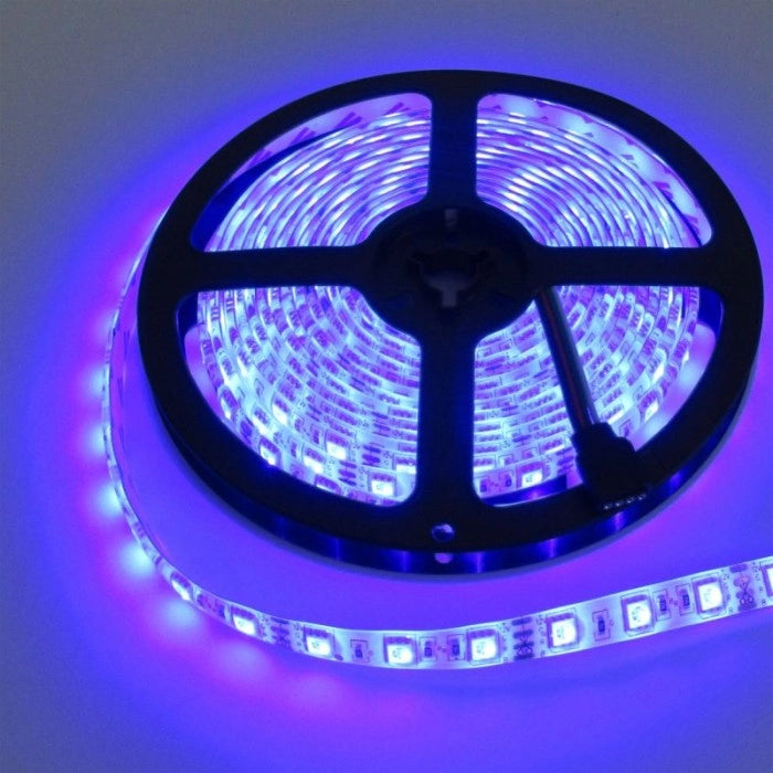 Striscia LED blu 4,8W/m 12V IP63 5m dimmer Ecolight